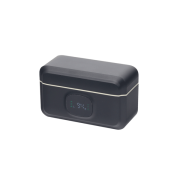 F31 wireless microphones